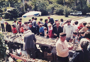 1987 - Háttal Leitovicz László, Rendes István, hátul Szutorisz Gyula, Fierer Kelemen László és Ady Pál